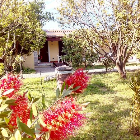 Su Pasu Hotel Tortolì Kültér fotó